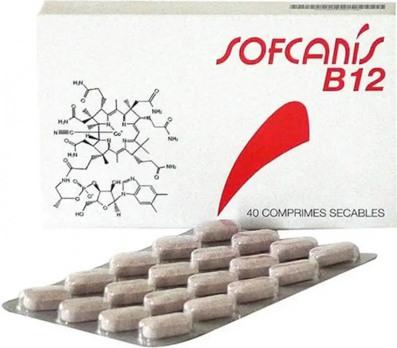 Pas Cher Sofcanis – Comprim&eacute;s Sofcanis B12 pour Chien et Chat