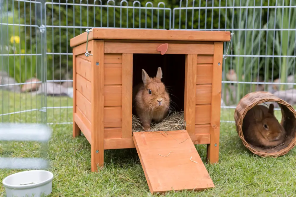 Solde Trixie - Natura Habitat Petits Animaux, brun