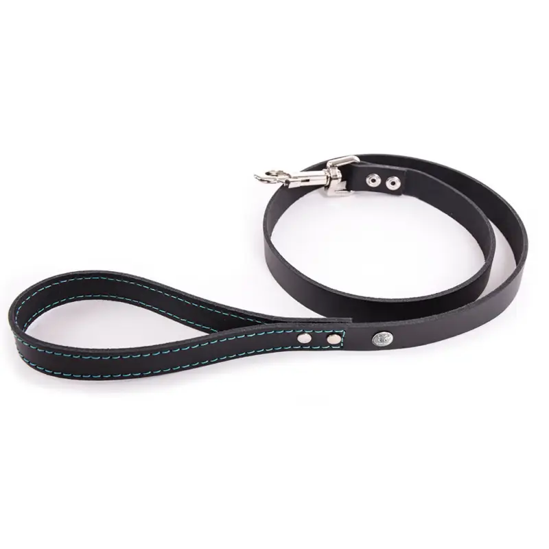Martin Sellier - Laisse Flash Noir/Turquoise pour Chiens Offre Limitée