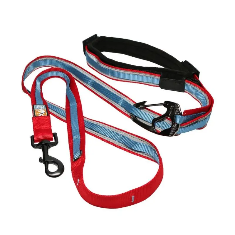 Kurgo - Laisse Main Libre "Quantum" pour Chiens Offre Du Jour