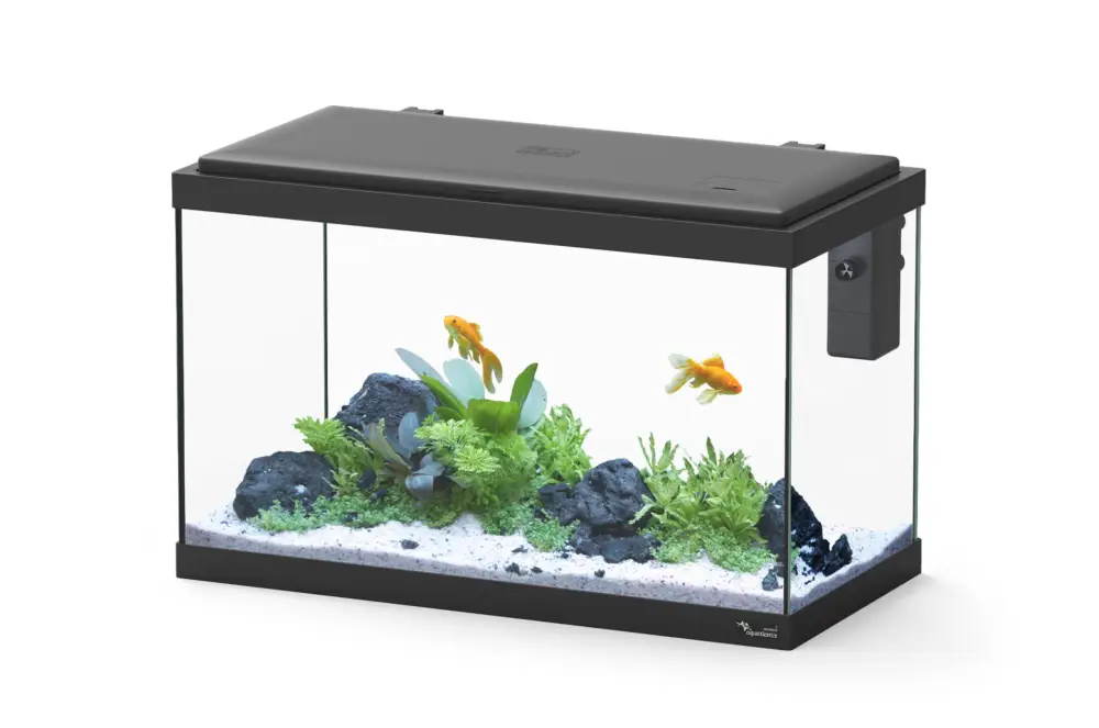 Affaire À Saisir Aquatlantis - Aquarium Explorer Vienna avec Biofilter