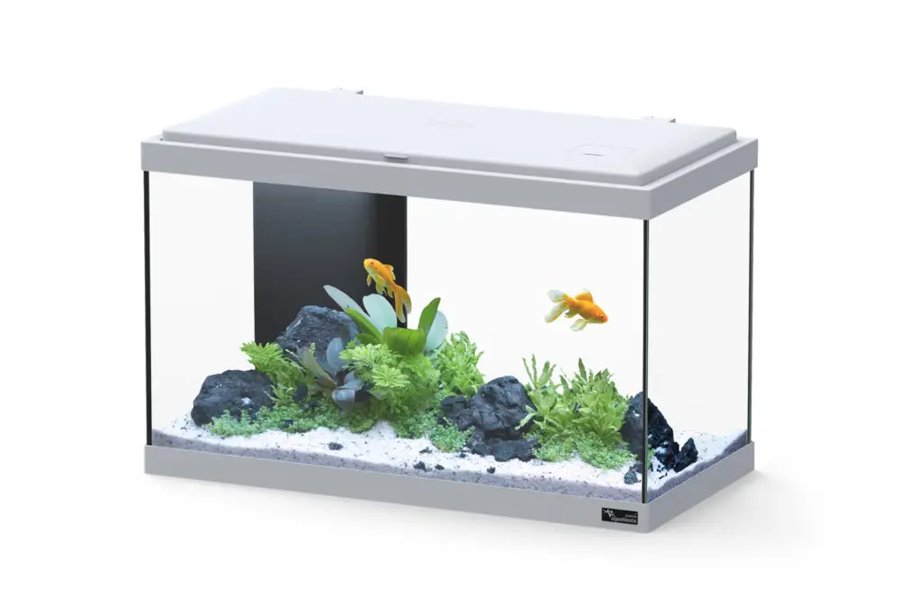 Aquatlantis – Aquarium Explorer Vienna Led et Mini Biobox Retour Gratuit