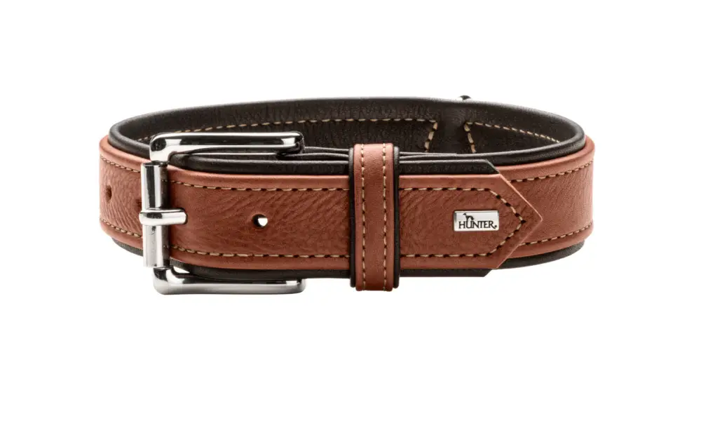 Hunter – Collier Canadian Up en Cuir de B&oelig;uf Noir pour Chiens Authentique