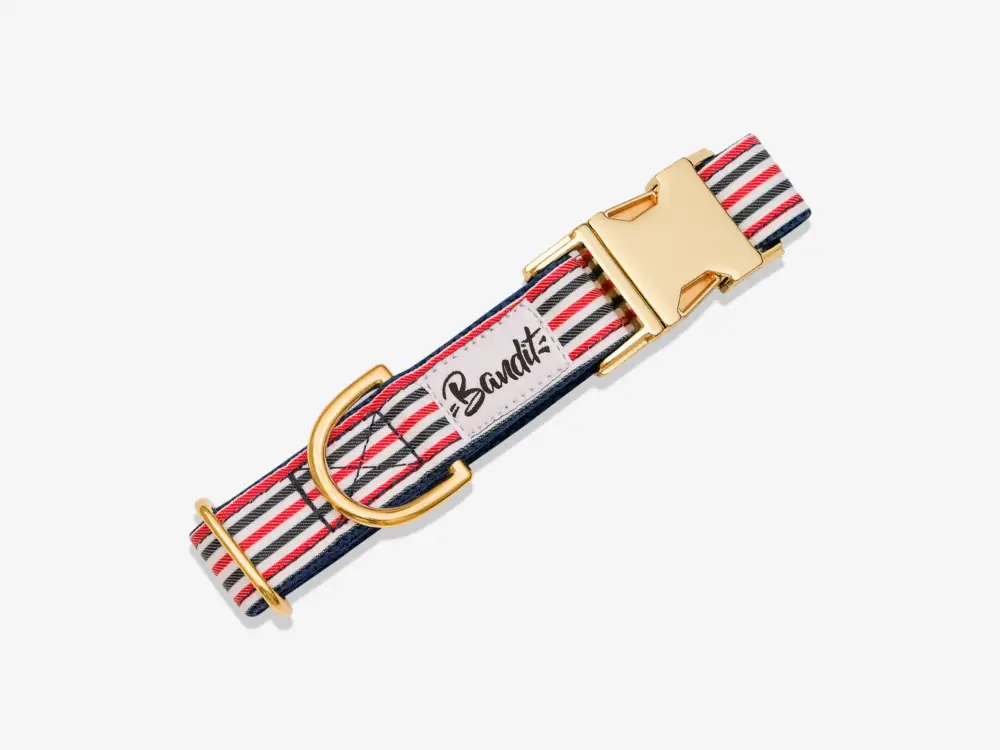 Usine Directe French Bandit – Collier French Banban pour Chiens