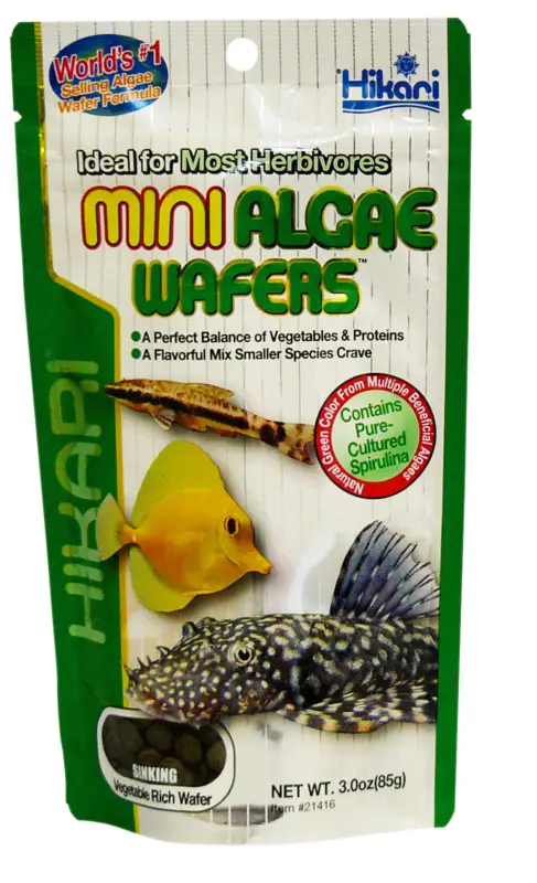 Expédition Rapide Hikari - Aliment Mini Algae Wafers pour Poissons