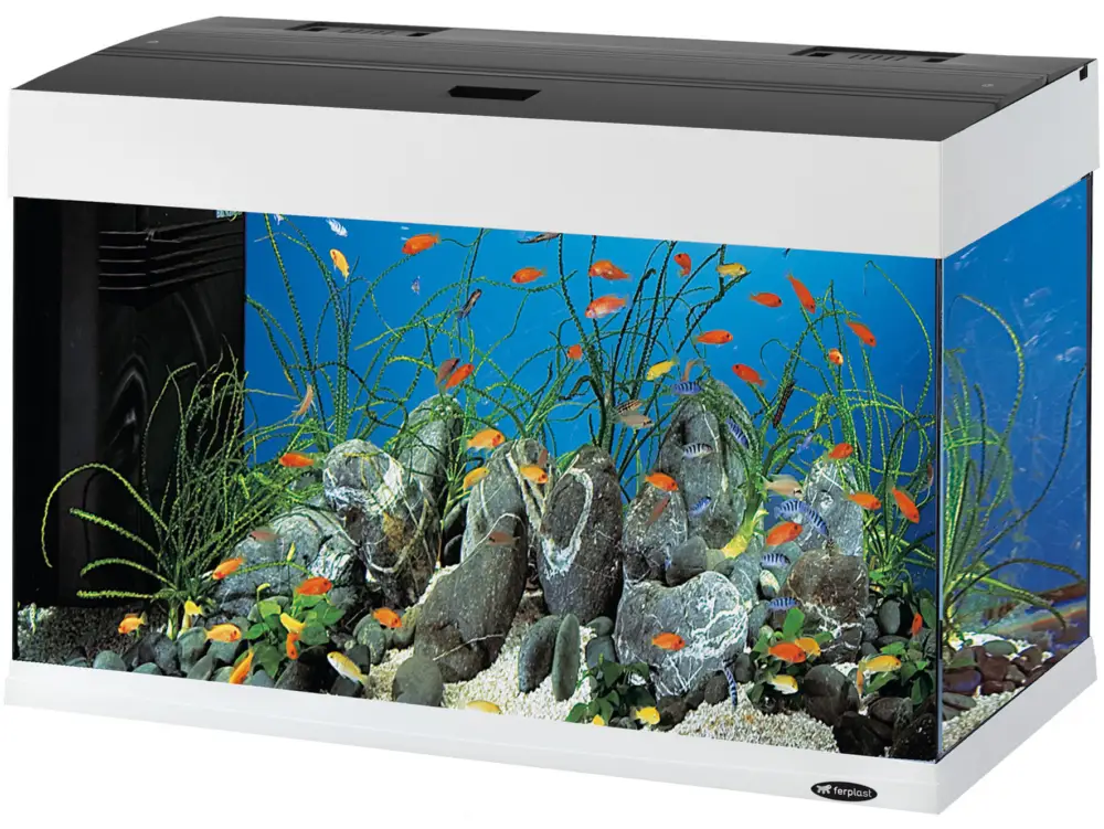 Hydor – Aquarium Dubai 80 Led Satisfait Ou Remboursé