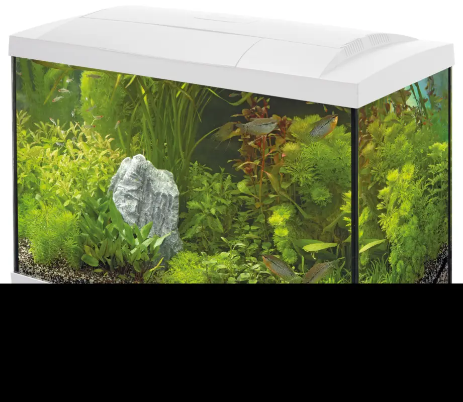 Superfish - Aquarium Start 70 Tropical Kit Promotion Saisonnière
