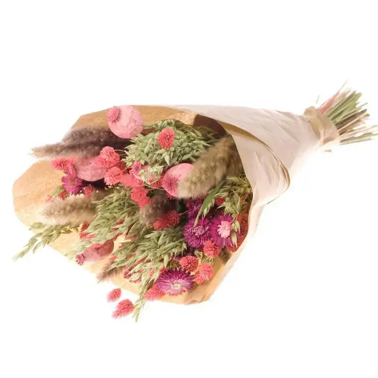 Produit De Marque Bouquet de fleurs séchées Naturalys mix rose/vert Naturalys XL - Ø 25/30 x H 50 cm