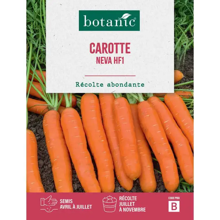 Offre Exclusive Graines de Carotte neva hybride F1 botanic® - graines à semer