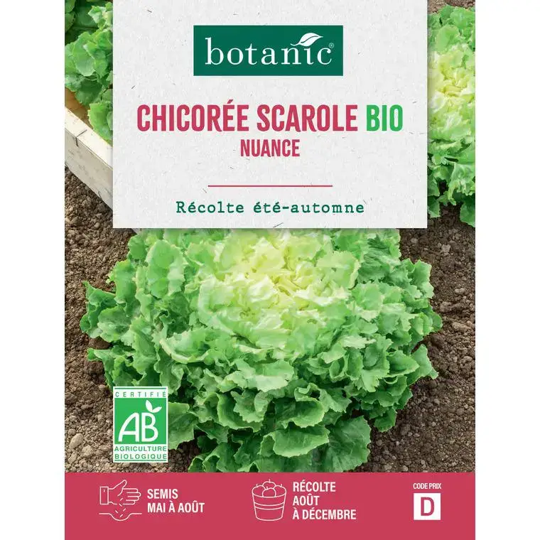 Offre Du Jour Graines de Chicorée scarole nuance bio botanic® - graines à semer