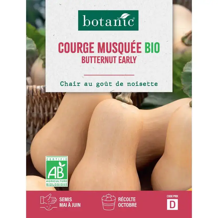 Prix Cassé Graines de courge musquée butternut early bio botanic® - graines à semer