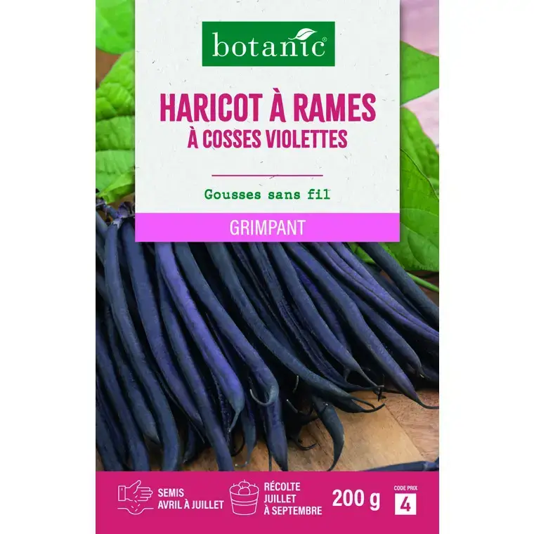 Promotion Graines d'haricot à rames à cosses violettes botanic® - graines à semer