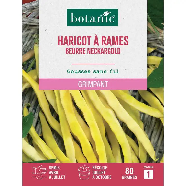 Achat Immédiat Graines d&rsquo;haricot à rames beurre neckargold botanic® – graines à semer