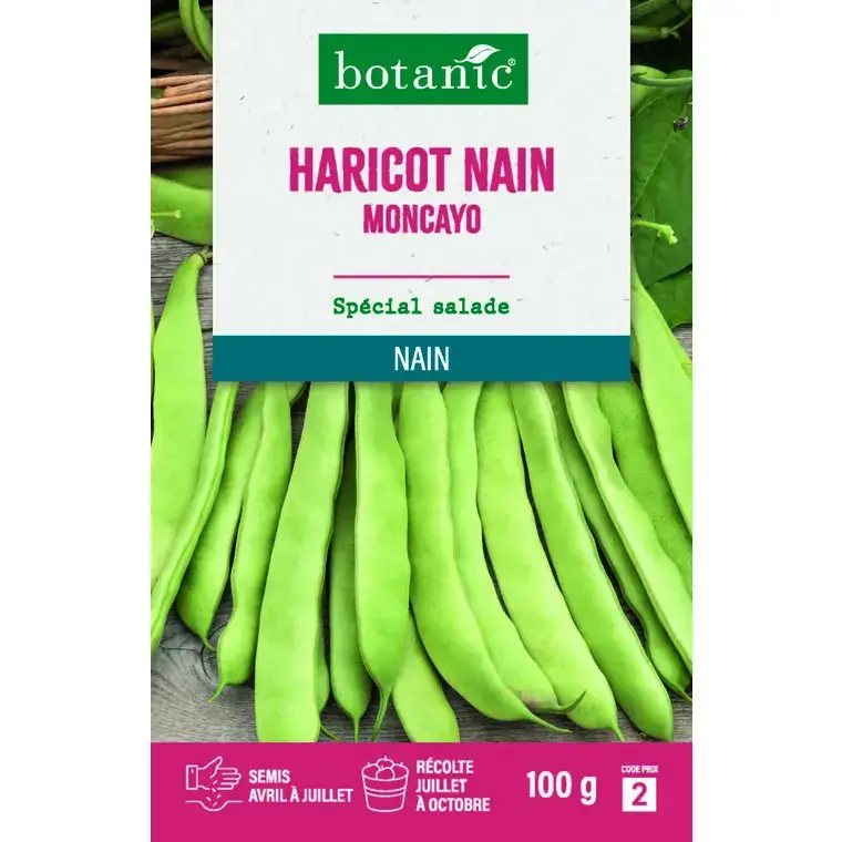 Graines d'haricot nain moncayo botanic® - graines à semer 100 g Usine Directe