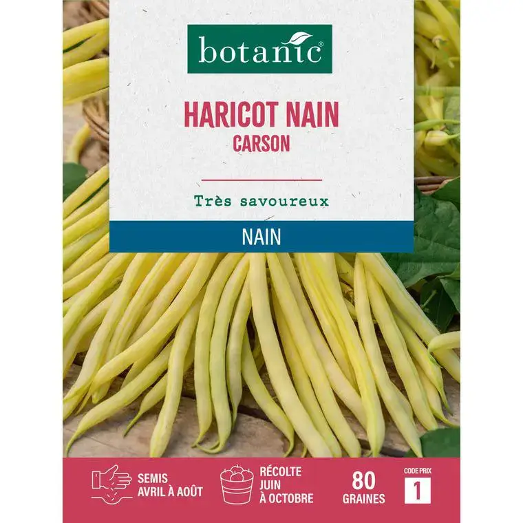Prix Cassé Graines d'haricot nain carson botanic® - graines nain semer