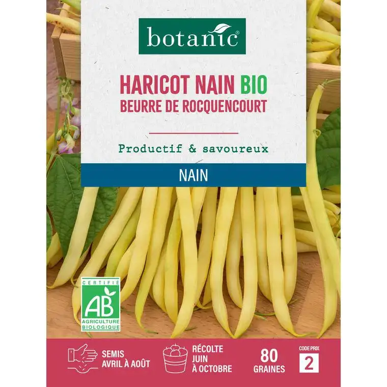 Acheter Direct Graines d&rsquo;haricot nain beurre de rocquencourt bio botanic® – graines nain semer