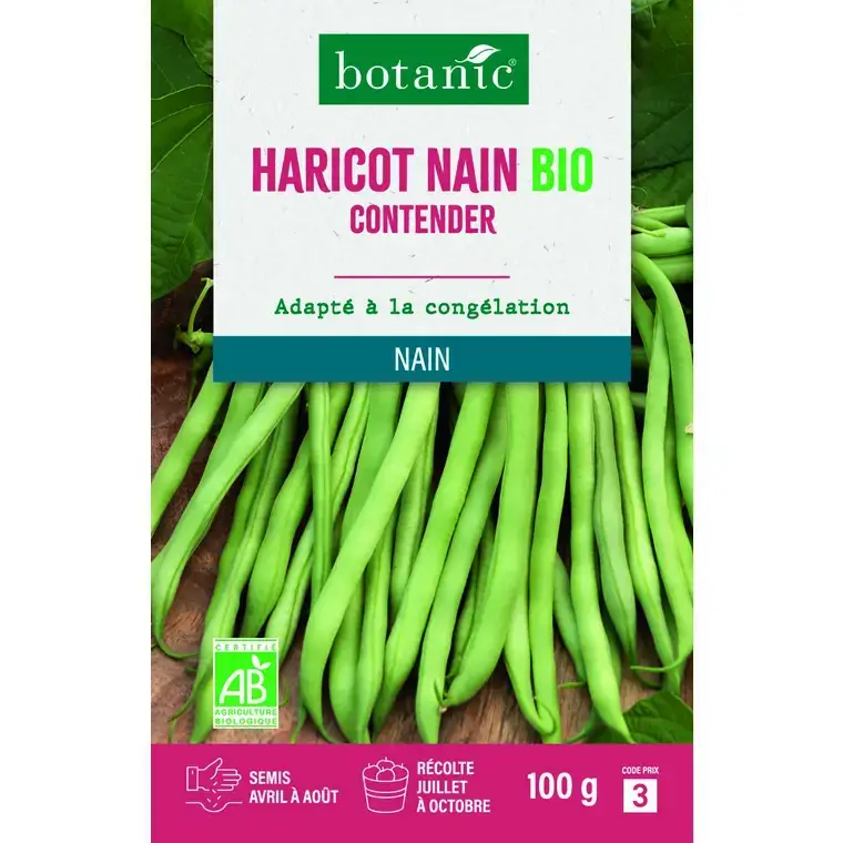 Graines d'haricot nain contender bio botanic® - graines à semer 100 g Affaire À Saisir