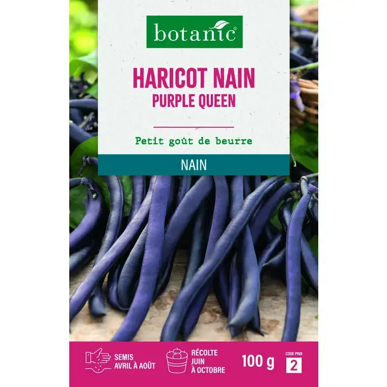 Graines d'haricot nain purple queen botanic® - graines à semer 100 g Super Prix