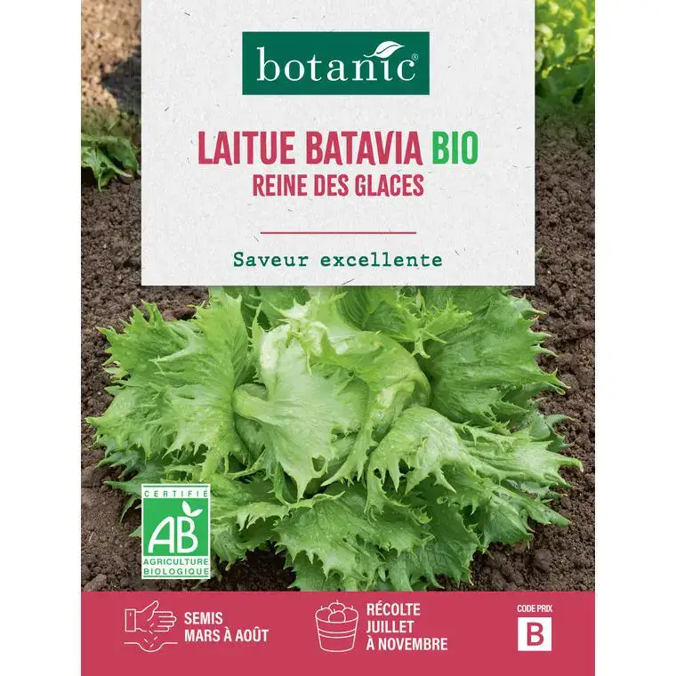 Graines de laitue batavia reine des glaces bio botanic® - graines batavia semer Meilleur Prix