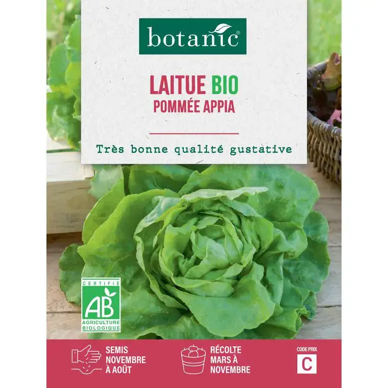 Authentique Graines de laitue pommée appia bio botanic® - graines pommée semer