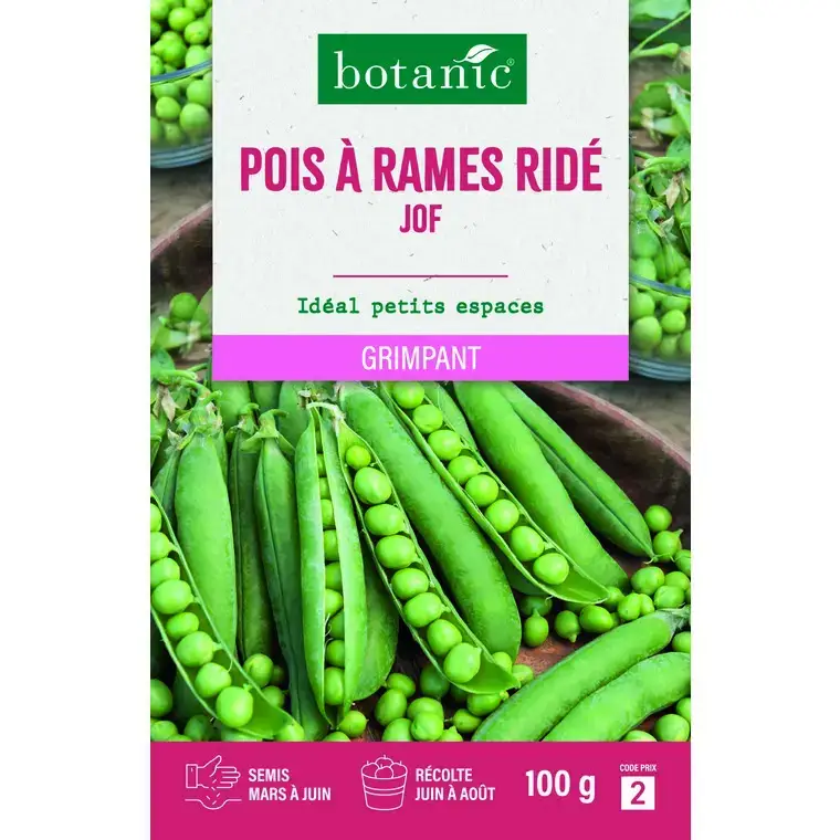 Graines de pois ridé à rames jof botanic® - graines ridé semer Offre Limitée