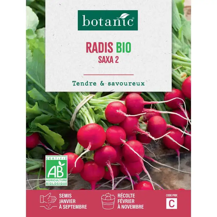 Offre Exclusive Graines de radis saxa 2 bio botanic® - graines saxa semer