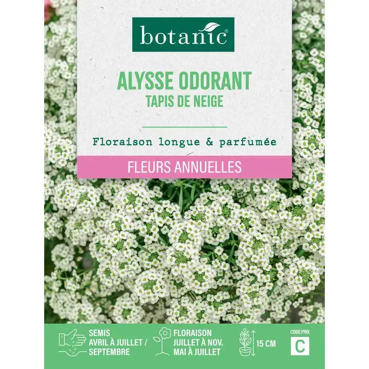 Achetez Aujourd'hui Graines de fleurs d'Alysse odorant tapis de neige botanic®