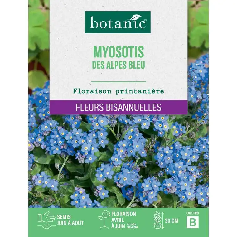 Must-Have Graines de fleurs de Myosotis des Alpes bleu botanic®