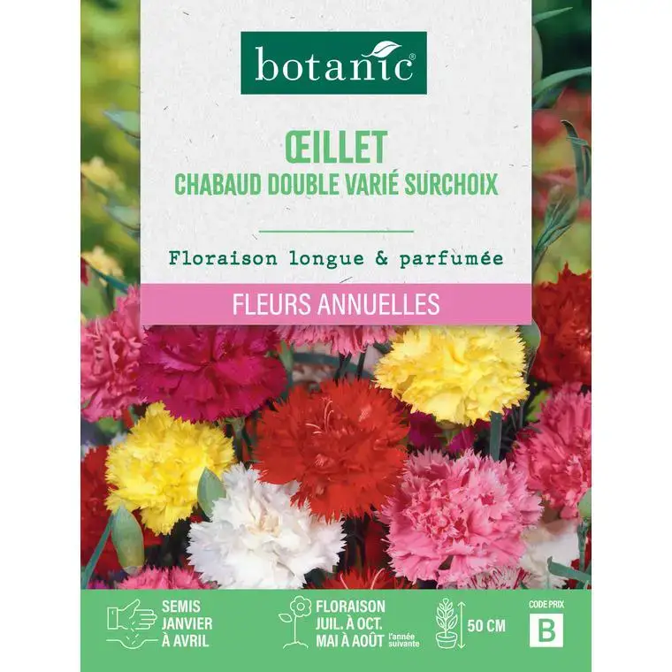 Graines de fleurs d'Œillet chabaud double varié surchoix botanic® Nouvelle Collection