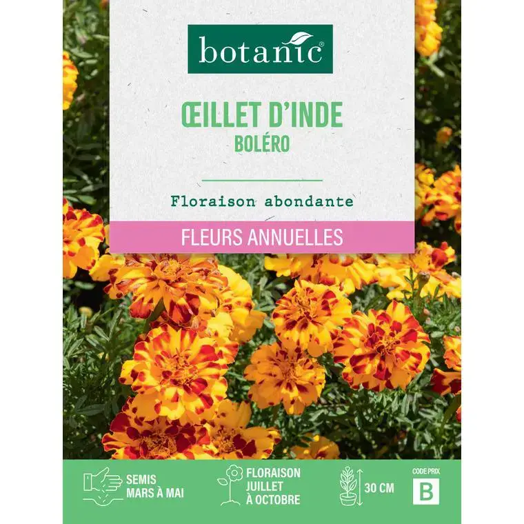 Affaire À Saisir Graines de fleurs d&rsquo;Œillet d&rsquo;inde boléro botanic®