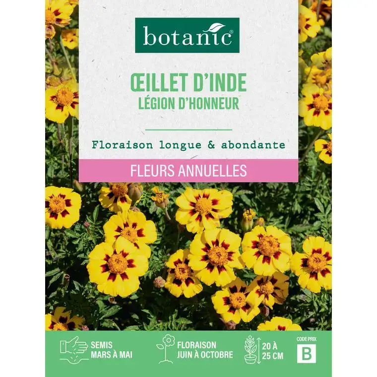 Pas Cher Graines de fleurs d'Œillet d'inde légion d'honneur botanic®