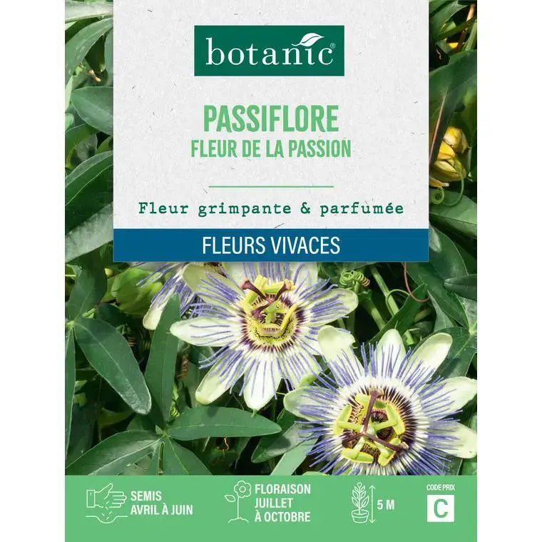 Vente Flash Graines de fleurs de Passiflore fleur de la passion botanic®