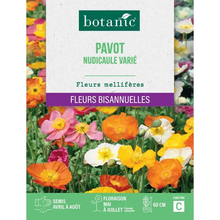 Vente Flash Graines de fleurs de Pavot nudicaule ou Pavot d'Islande varié botanic®