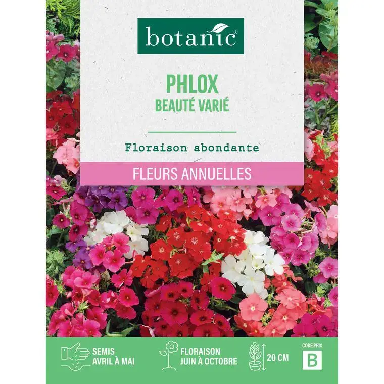 Quantité Limitée Graines de fleurs de Phlox beauté varié botanic®
