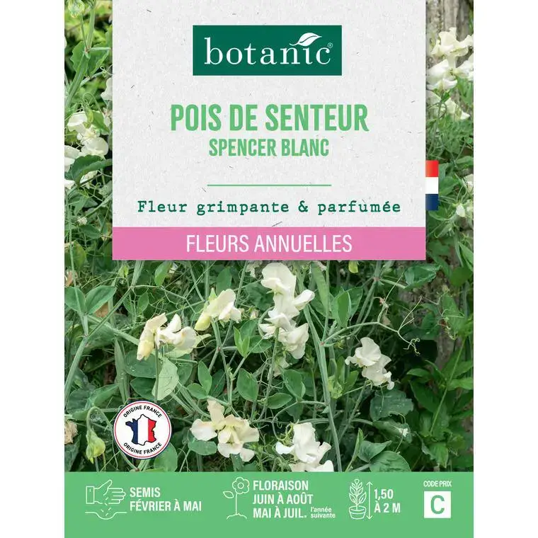 Graines de fleurs de Pois de senteur spencer blanc botanic® Remise