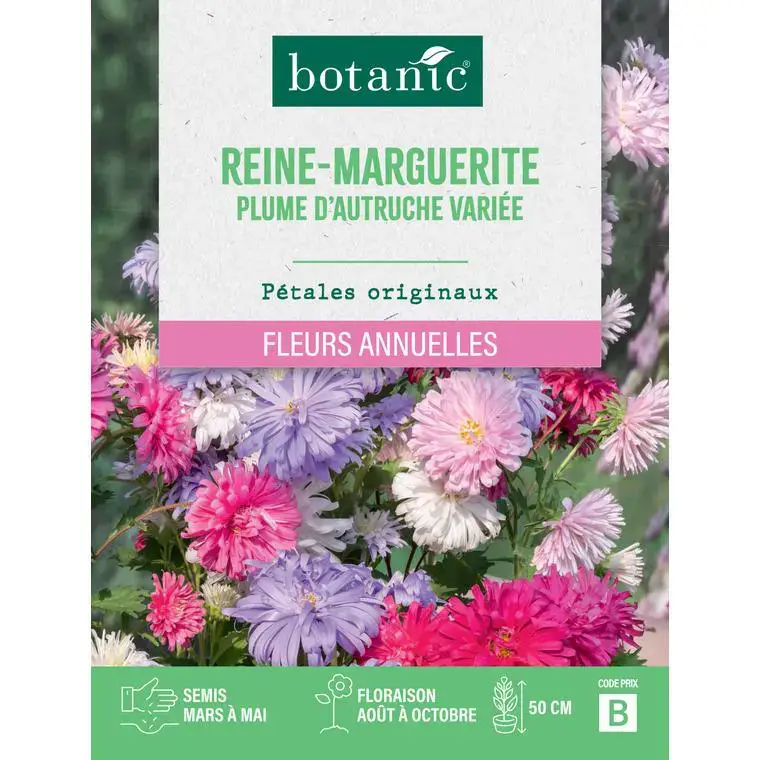 Graines de fleurs de Reinemarguerite plume d'autruche ou Aster de Chine variée botanic® Vente Flash