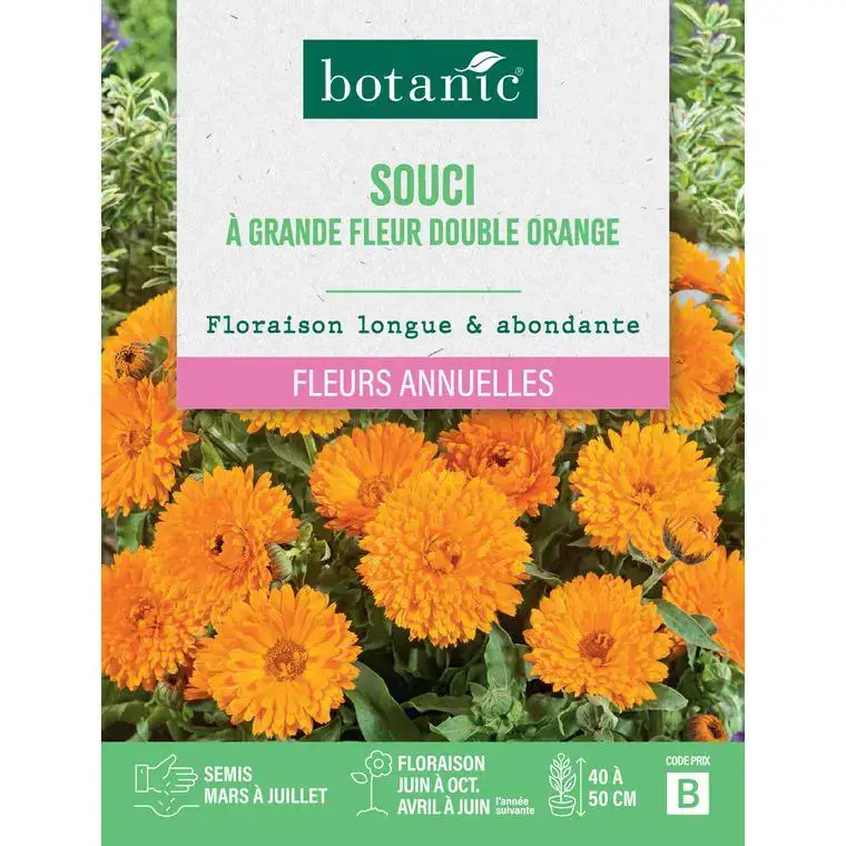 Livraison Express Graines de fleurs de Souci à grande fleur double orange botanic®