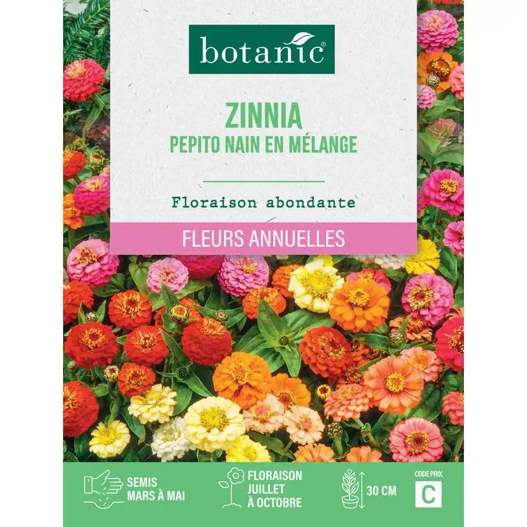 Graines de fleurs de Zinnia pepito nain en mélange botanic® Pas Cher