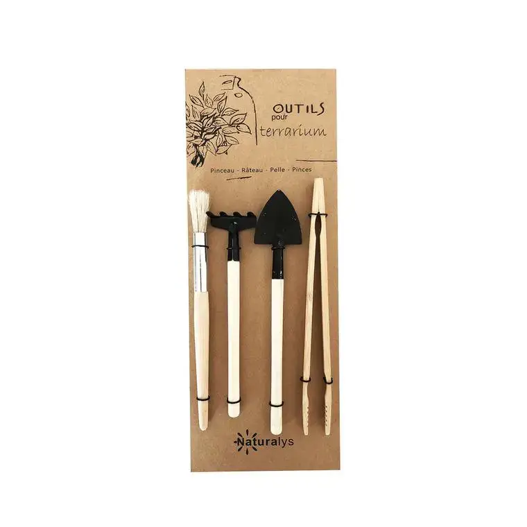 Kit d&rsquo;accessoires pour terrarium Naturalys Certifié