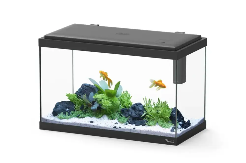 Promotion Aquarium d&rsquo;eau froide et d&rsquo;eau douce coloris noir Aquatlantis Explorer Vienna 34 L – 35 x 50 x 25 cm