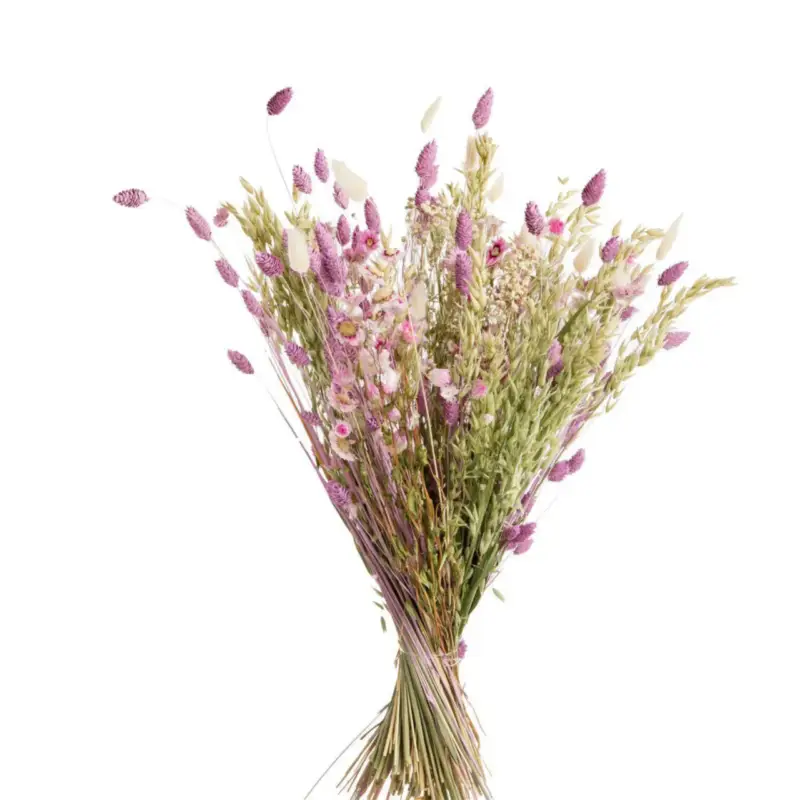 Bouquet coloris multicolore en fleurs séchées – Ø 25 cm Marque