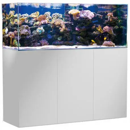 Aquarium de 375 litres avec son meuble et sa cuve de filtration d&rsquo;un volume de 85 litres Quantité Limitée