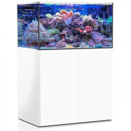 Aquarium de 325 litres avec son meuble et sa cuve de filtration d'un volume de 55 litres Offre Exclusive