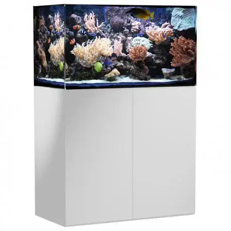 Aquarium de 250 litres avec son meuble et sa cuve de filtration d&rsquo;un volume de 55 litres Nouveauté