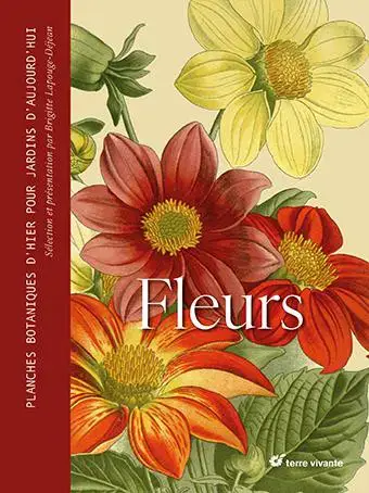 Livre Fleurs de Brigitte Lapouge-Déjean aux Éditions Terre vivante – 288 pages Nouvel Arrivage
