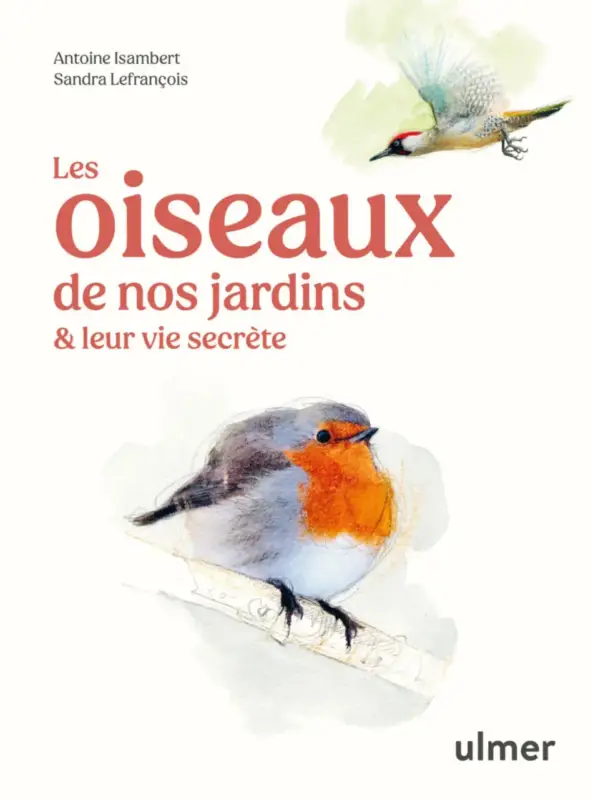 Livre Les oiseaux de nos jardins et leur vie secrète aux Éditions Ulmer - 127 pages Bon Marché