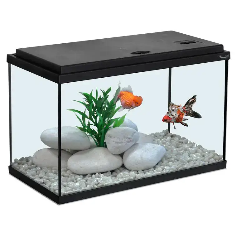 Marque Aquarium coloris noir 20L – 40 x 20 x 25 cm