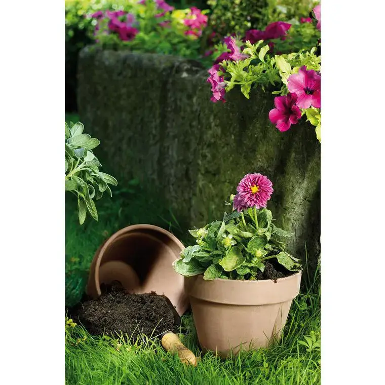 Vase brut en terre cuite 4.3L couleur moka Must-Have