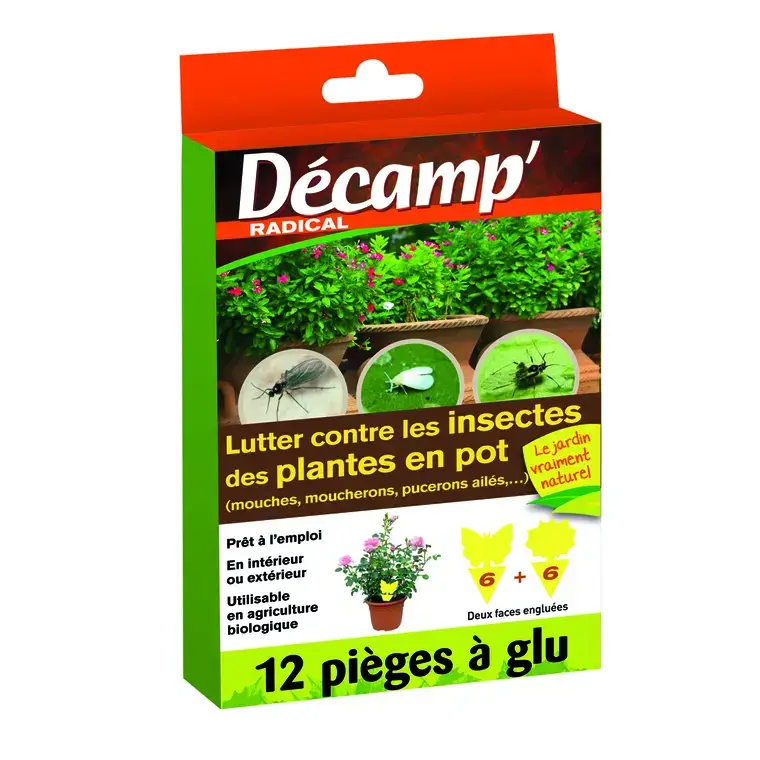 Piège jaune x 12 Solde