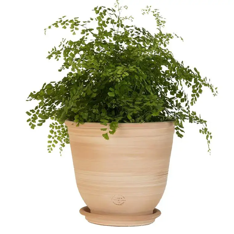 Authentique Pot Campanas lisse en terre cuite – D40xH35